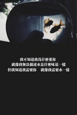 我只爱你句子