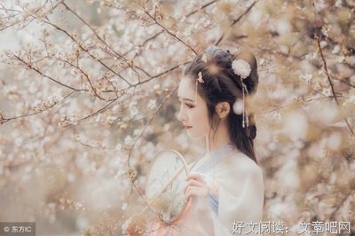 古风的优美句子