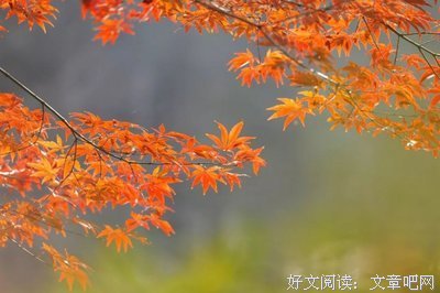 有关晓名言大全