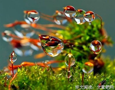 心魔一时是痛，心魔已逝是懂