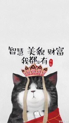 100％的美貌 VS 100％的智慧，你选哪一个？