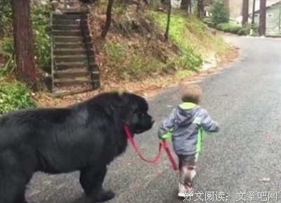 狗十三：13岁那年我曾离家出走