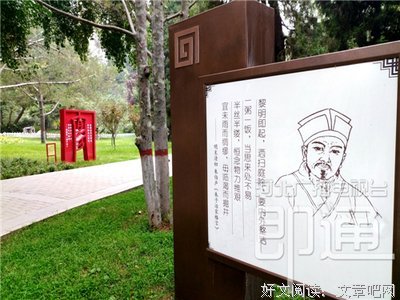 关于一草的名言