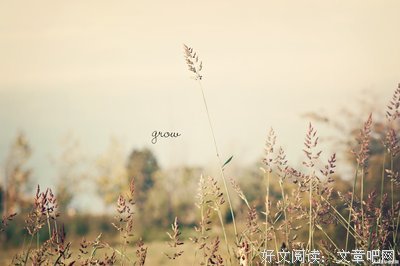 关于三毛名人名言