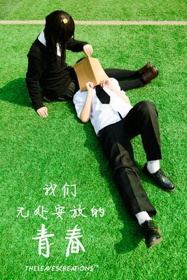 最全的《我们无处安放的青春》经典的句子