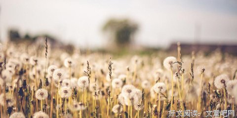 最新的《来自风平浪静的明天》动漫语录