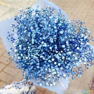 《此时此刻相爱的能力》经典语句
