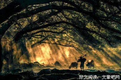 最经典的《穿越，攻略，捡节操》名句欣赏