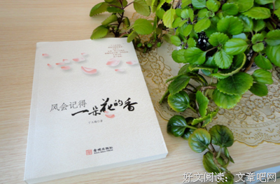 最新的《风会记得一朵花的香》佳句摘抄