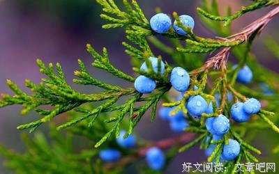 最新的《有一个地方只有我们知道》经典的句子大全