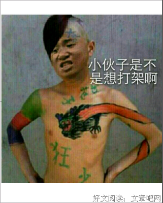 最全的《凉生，我们可不可以不忧伤》名句欣赏