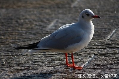 那些和前任复合的人都怎么样了