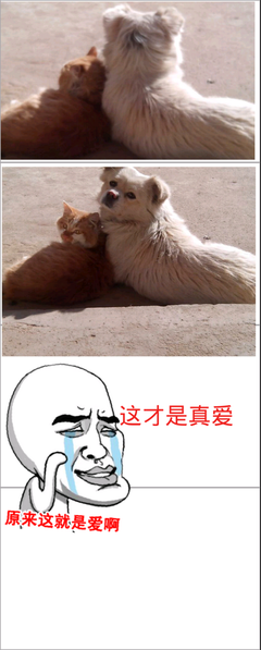 《发那物种官赐福》经典名句