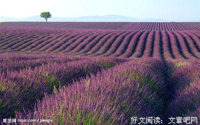 最新的《浮生六她生》经典名句