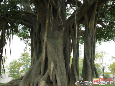 描写然可的经典句子