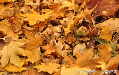 苏沐秋的语句摘抄_关于苏沐秋的语句