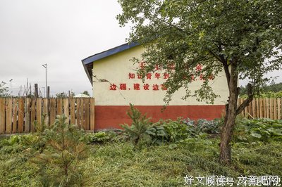 写给曾经的大兴安岭林区的所有知青们，你们还好吗？