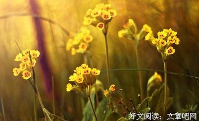 故事很长，你要听么？优美的句子