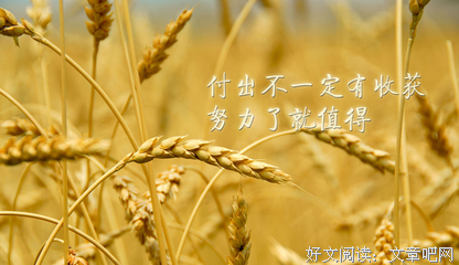 工作的句子