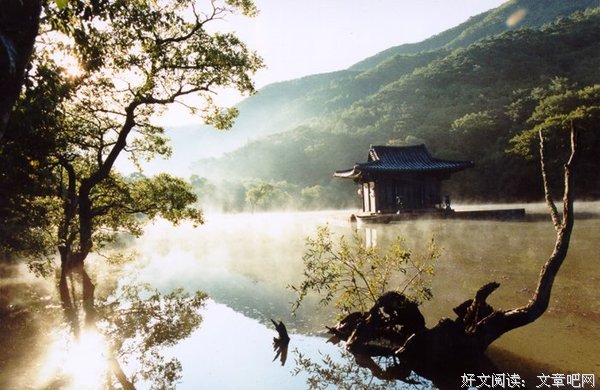 心念碎语