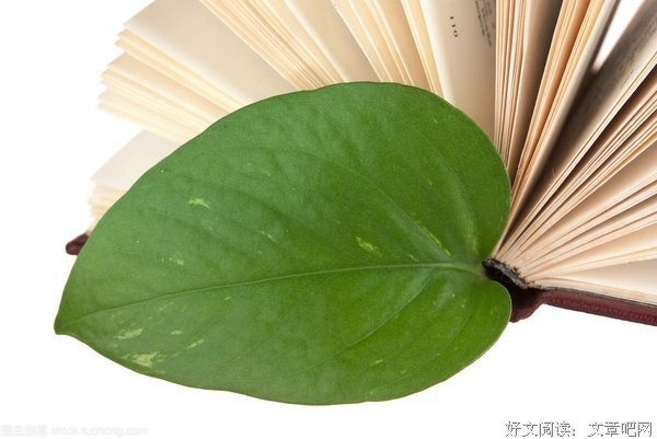 最全的叶子经典名句