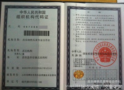 有关子瓜的名言