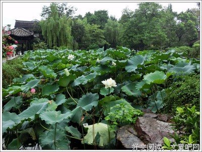 《风流传》经典的句子大全