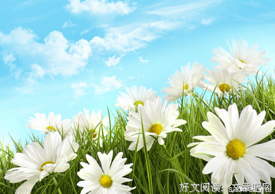 最全的《欲望与头脑》语录摘抄
