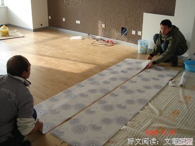 最新的《田园大宋》佳句摘抄