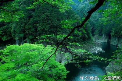 最全的《追尾》小说句子大全