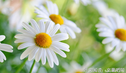 最全的《刺骨》经典的句子