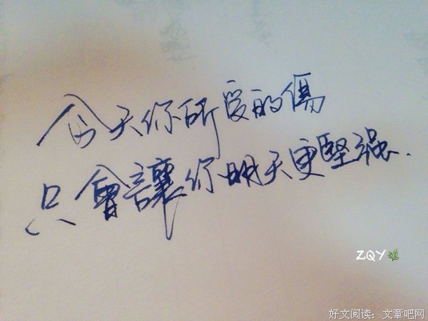 最新的《海贼周》语录摘抄