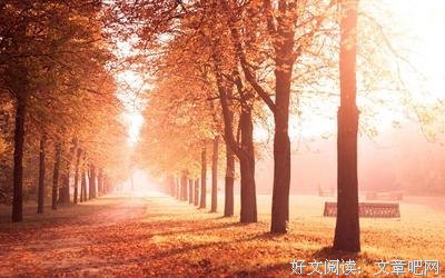 关于动心的优美句子