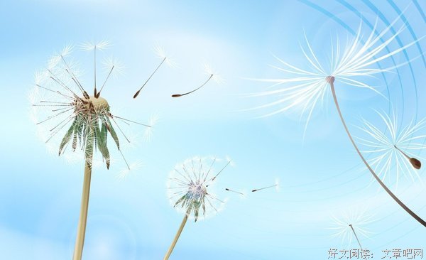 原谅我孤独太成性都到觉念你太深的优美句子