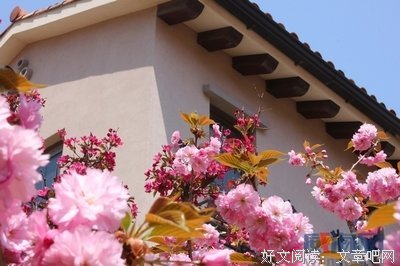最新的海宴名人名言