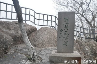 有关燕子名言大全