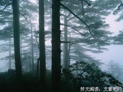最经典的花凉经典名句