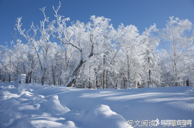 关于落落经典句子