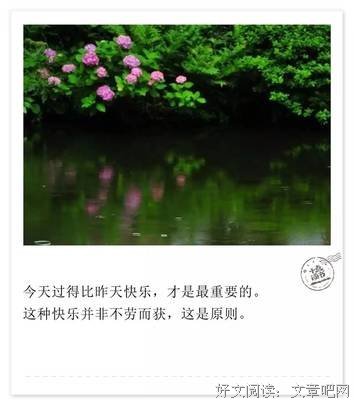 《我决定在外能山得有趣》经典的句子