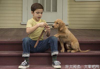 老雾讲电影|狗13，你面对的是永远不会说对不起的人