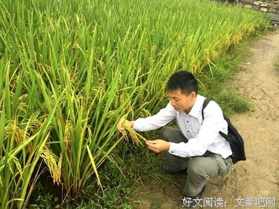 最全的《出在望》小说书摘