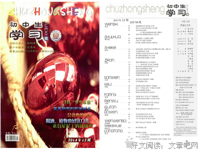 最经典的《文心》小说书摘