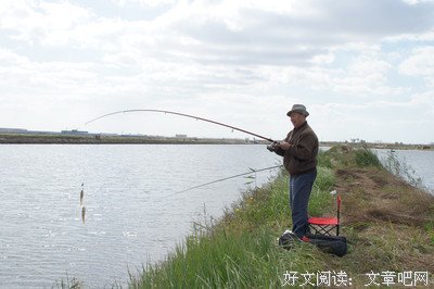 最经典的《上古情歌》佳句摘抄