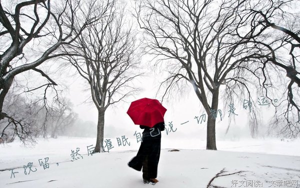 关于枝上柳绵的唯美语录