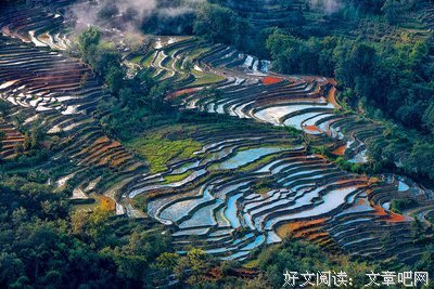 哈尼的名言_关于哈尼的名言