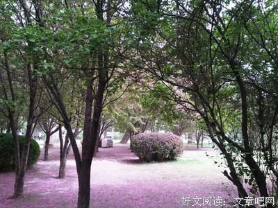 关于叶自的语句