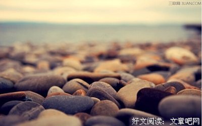 关于雨狸精彩语录