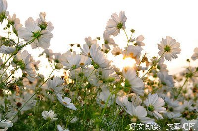 最全的MO忘了精彩语录