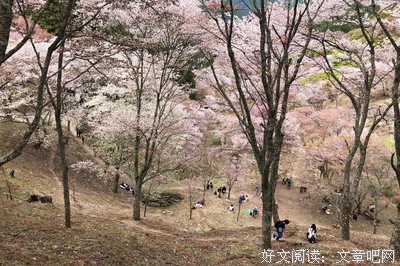 最新的《春樱亭圆紫和我系列》经典语录