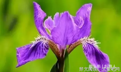 任性的句子